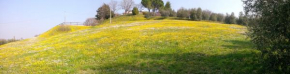 Paglia e Fieno